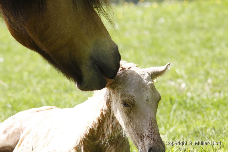 Hjoerdis 10 Min alt (12).JPG